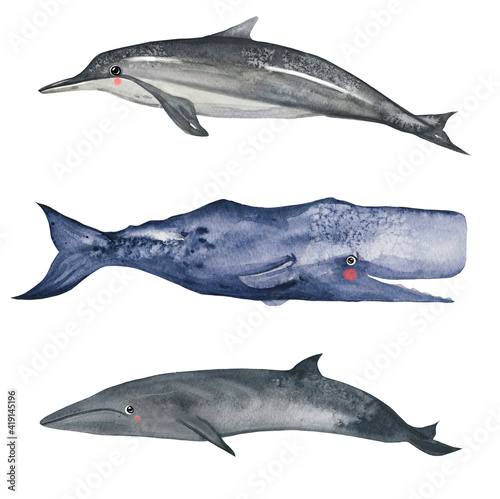 Watercolor hand painted clipart of whale, dolphin. sea and ocean creatures isolated on white. Endangered species. deep water cute mammals isolated on white background