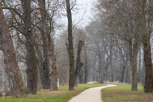 spring in the park