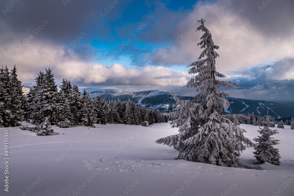 Fototapeta premium mountain winter landscape with trees