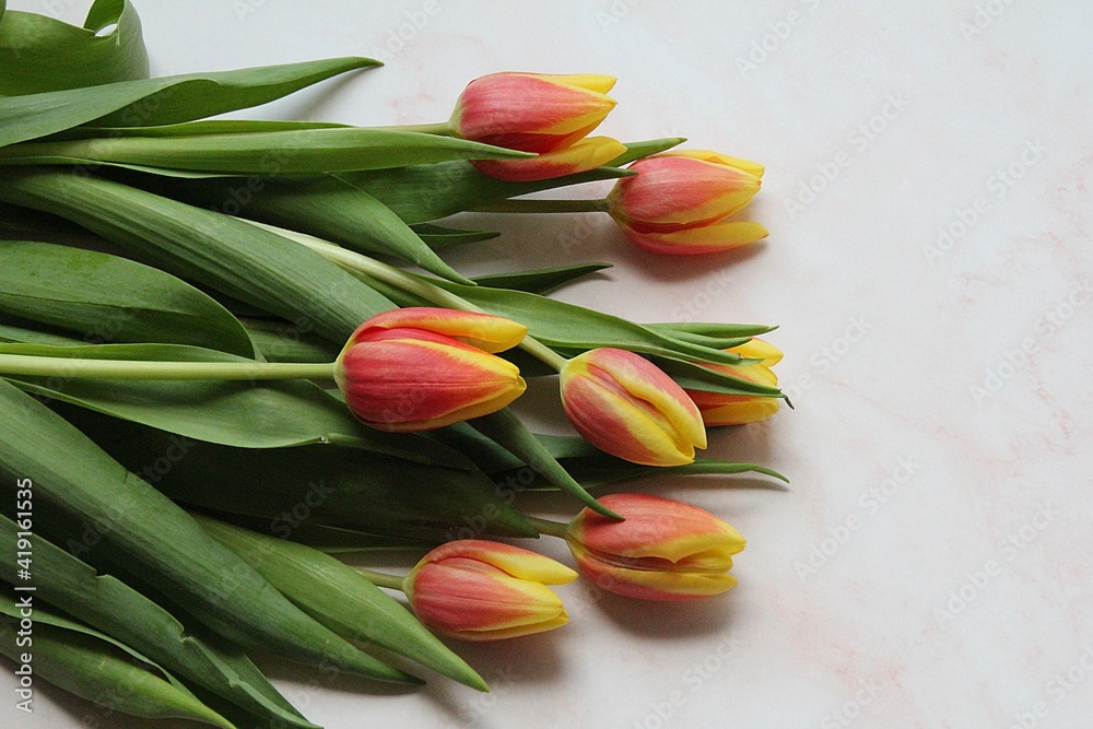 tulip bouquet red and yellow tulips, cut flowers, spring tulip bouquet, beautiful plants, green leaves tulip bouquet red and yellow tulips, cut flowers, spring tulip bouquet, beautiful plants, green leaves