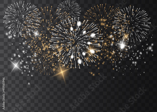 Vector Brightly Colorful Fireworks on the background of the night sky.