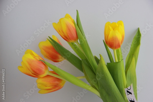 bouquet of tulips