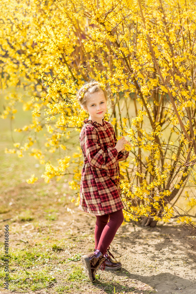 girl on a background of yellow flowers. A child in a blooming spring garden girl on a background of yellow flowers. A child in a blooming spring garden