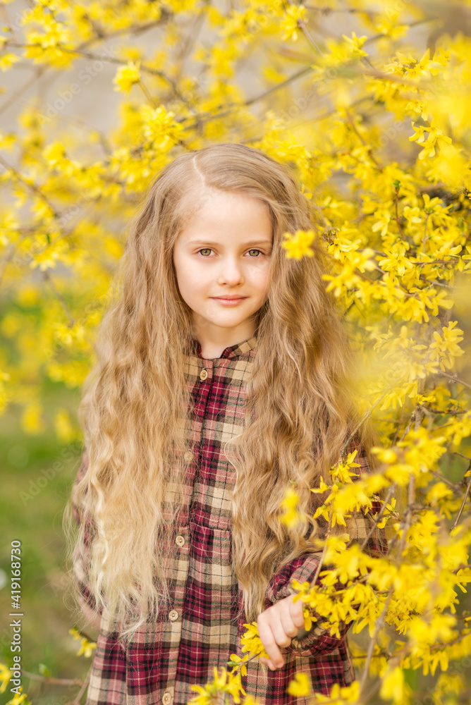 girl with long hair in yellow flowers. A child on the background of forsythia. Spring portrait of a child girl with long hair in yellow flowers. A child on the background of forsythia. Spring portrait of a child
