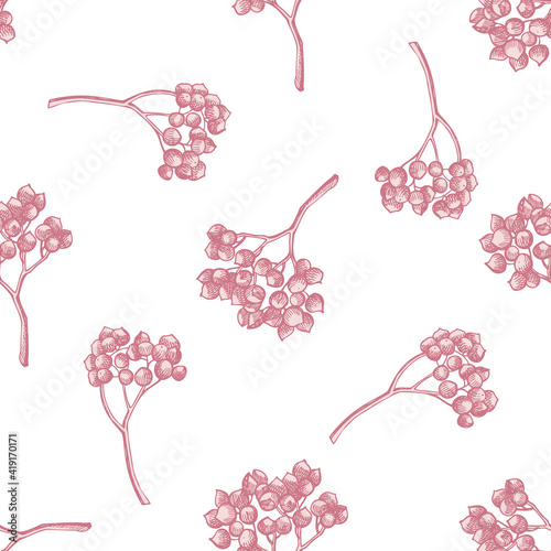 Seamless pattern with hand drawn pastel rosemary everlasting