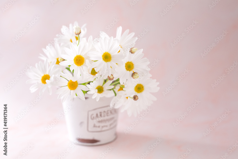 Bouquet of blooming Margaret flower in a white bucket