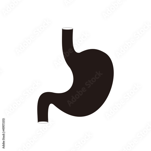 stomach icon vector. anatomy icon vector