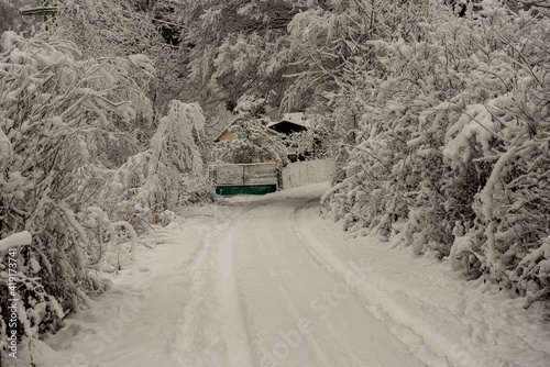 Road to the house among the bushes covered with snow