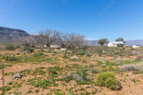 cottages in the desert