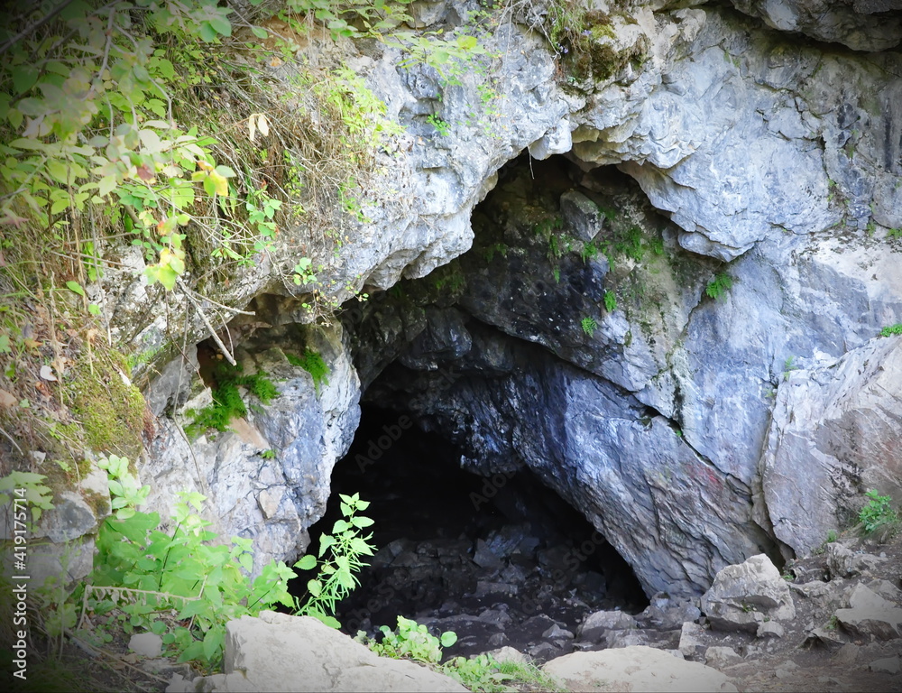 A dark cave entrance in the forest.