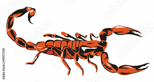 Scorpion