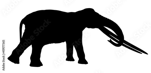 Mammoth