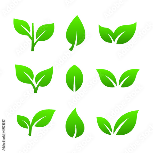 set of green leaves