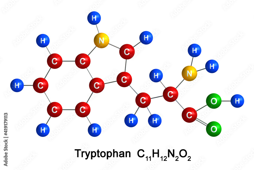 tryptophan tryptophan