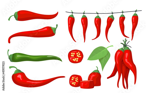 Red chili pepper set. Spicy ingredients, Mexican chilly, paprika. Cartoon vector illustrations for vegetable, food, cooking concept