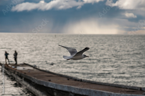 Perfect sky and ocean water. Blue color. Concrete breakwater.