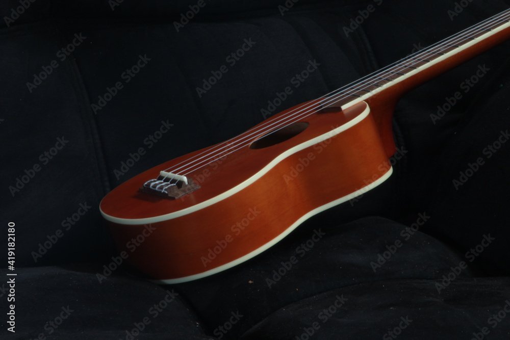 Obraz premium Ukulele 