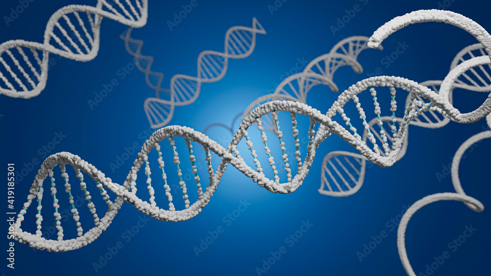 3D rendering DNA structure of human for clone life bio Stock ...