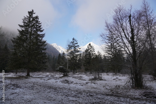 Bei Ettenhausen am Fuße des Geigelsteins photo