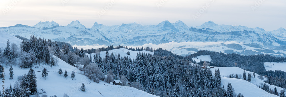 panoramic view of the Bernese Alps on a beautiful winter sunrise in snowy Emmental