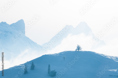 lonely tree on top of a snowy hill with Schreckhorn in the background