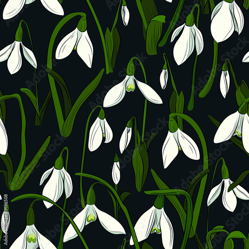 Snowdrops