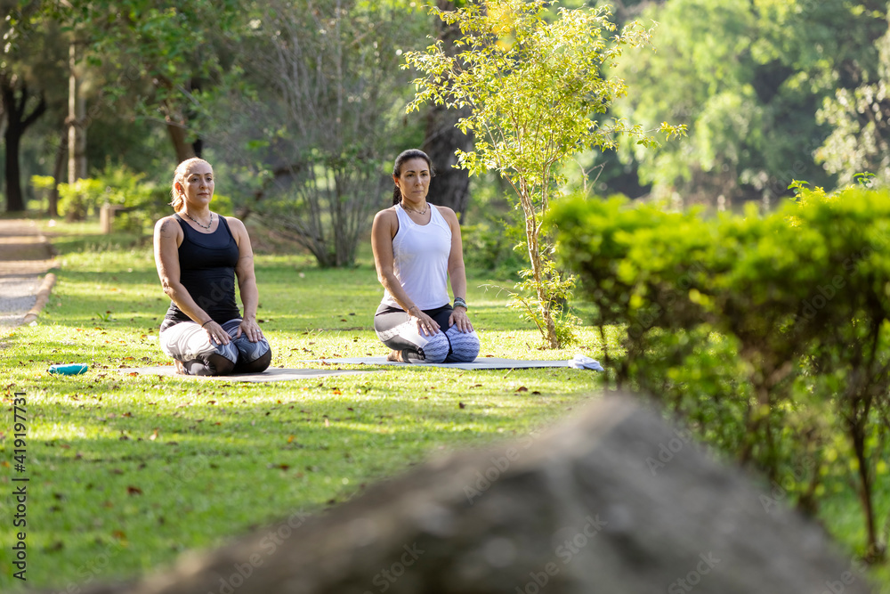 two women practicing yoga in a park, Barueri, São Paulo, Brazil