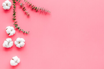 Flowers border with green eucalyptus branches and dry cotton flowers on pink background top view space for text