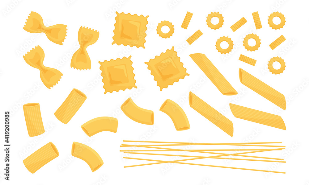 Delicious italian pasta types of high quality Vector Image