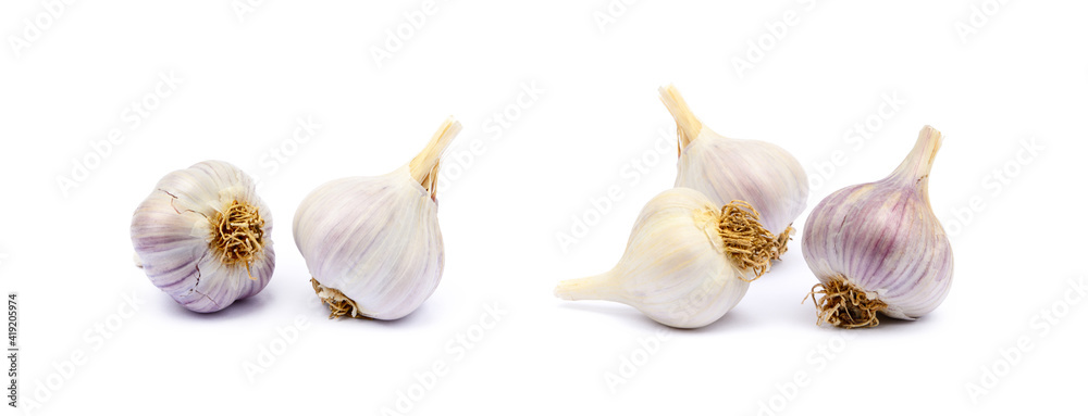  Healthy fresh garlic isolated on white background - obrazy, fototapety, plakaty 