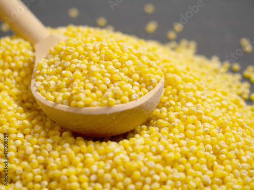 Millet. Millet in a wooden spoon and bowl on a wooden kitchen table photo