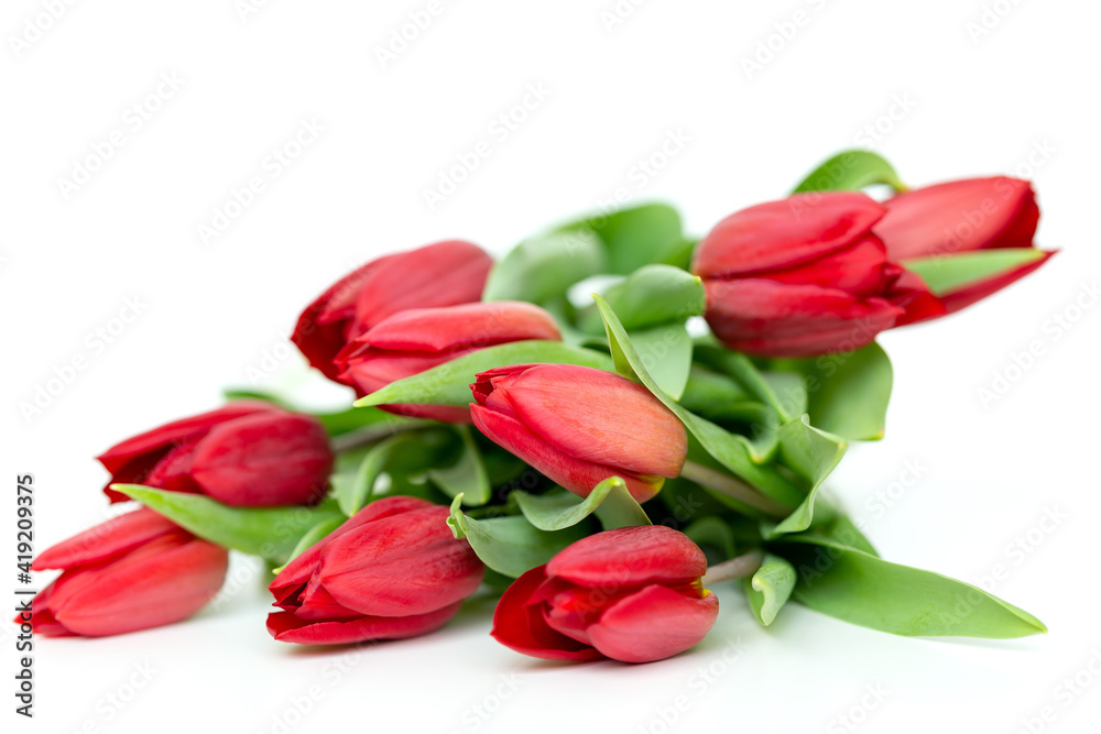 Bouquet of fresh red tulips isolated on white background with copy space Bouquet of fresh red tulips isolated on white background with copy space