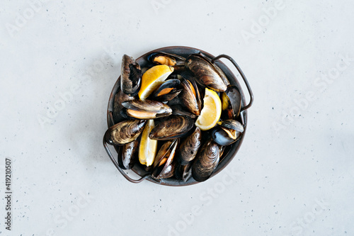 Mussel shells on a textured white background.