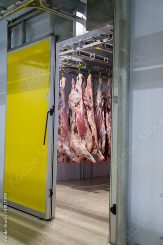 Carcass meat in cold storage room. Industrial meat production line. photo