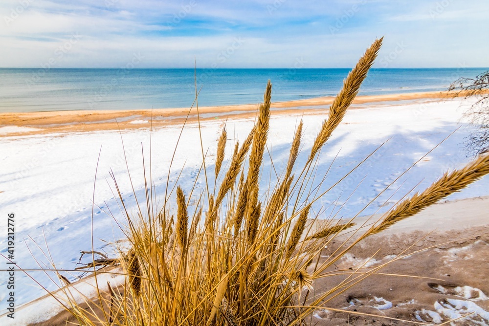 Plaża, śnieg i trawy
