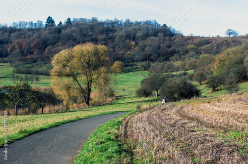 Wanderweg  am Schalkenmehrener Maar photo