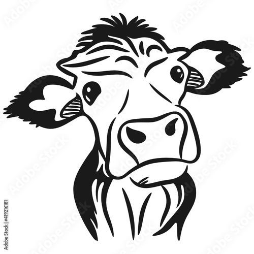 cow with a smile