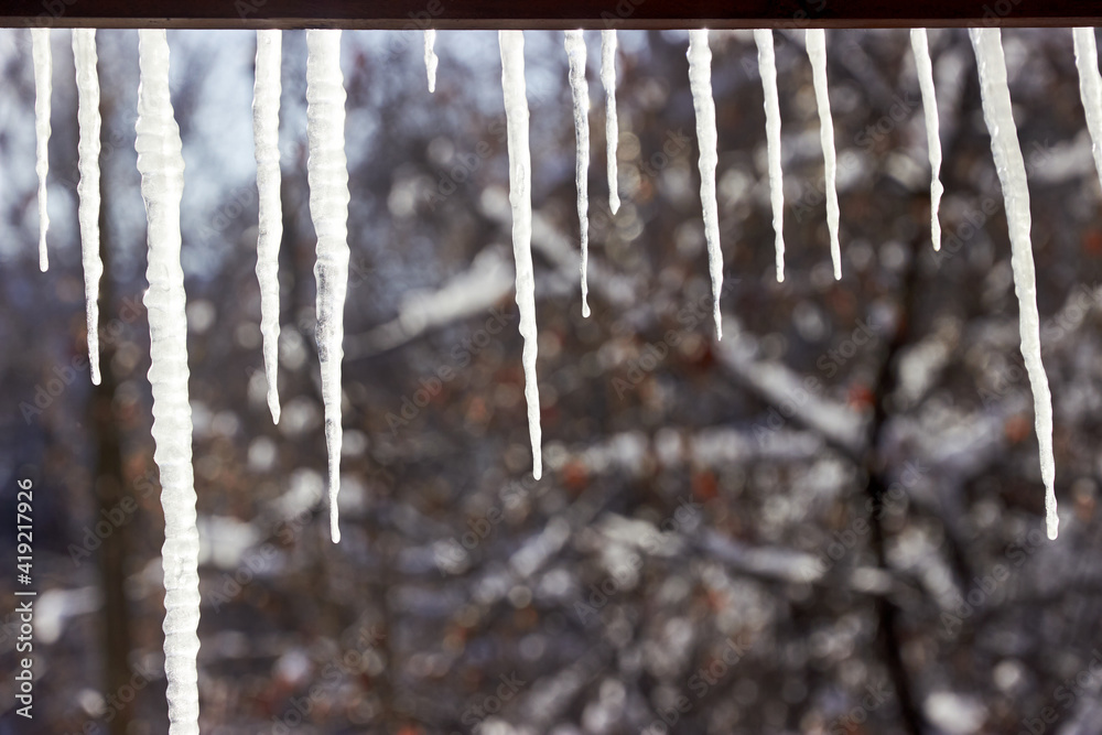icicles hanging from the roof on sunny day icicles hanging from the roof on sunny day