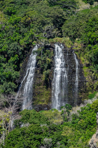 Opaeka'a Falls, Wailua River State Park, Lihue, Kauai, Hawaii, USA.