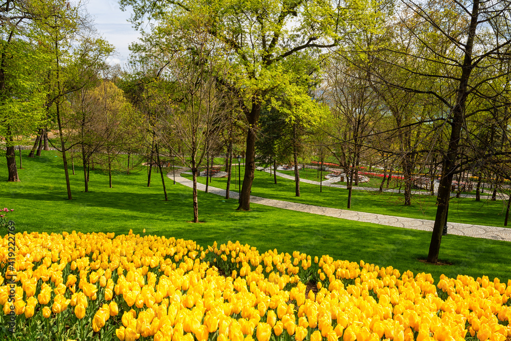 Beautiful spring garden, famous turkish park Emirgan Korusu in Istanbul during tulip festival, Turkey. Outdoor travel background, nature landscape