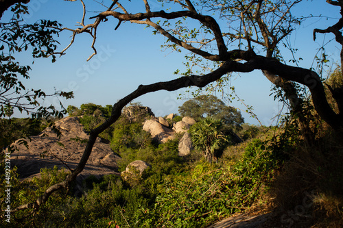 Landscape view of rock formation along Mahabalipuram town, Tamil Nadu, India. photo