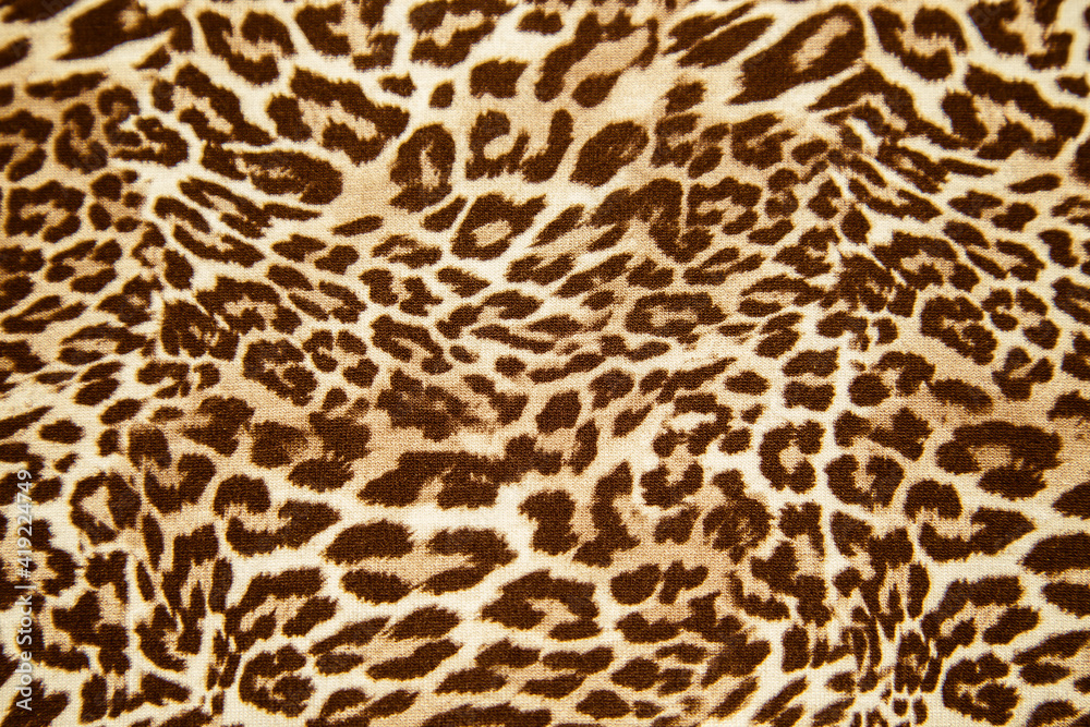 Leopard background texture safari pattern leopard print fabric material design. Leopard background texture safari pattern leopard print fabric material design.