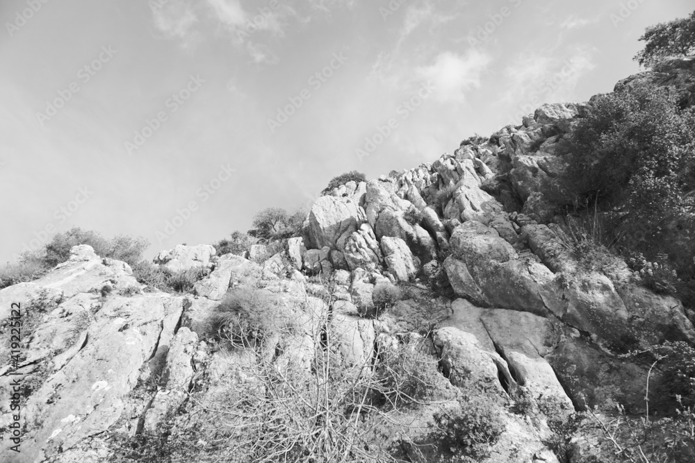 montaña de piedras con plantas y árboles a su alrededor en blanco y negro