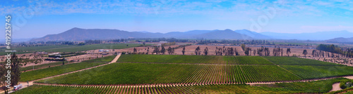 Valley of Vineyards in Chile panoramic view