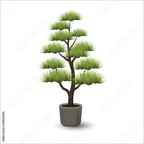 Vector illustration of a decorative niwaki bonsai tree on a white background. Garden bonsai niwaki with green pine thorns on a pine. Decorative trimming and pruning of trees and shrubs