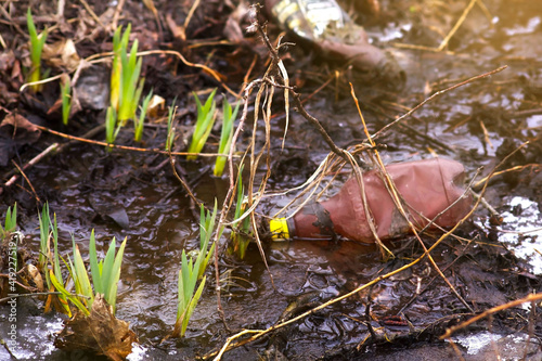 A plastic bottle on a natural surface in the spring.