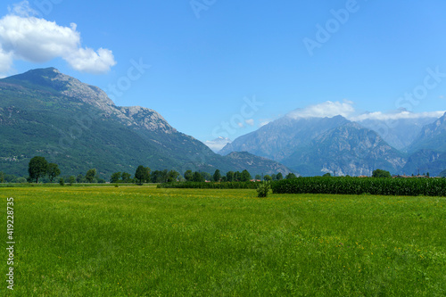 Landscape of Valtellina at summer near Dubino