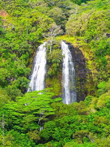 USA, Hawaii, Kauai, Opaeka'a Falls cascading into the tropical forest
