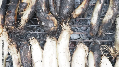 catalan calcots on thebarbecue  photo