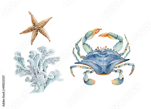 Photography set of watercolor illustrations in marine style bush with corals and blue crab